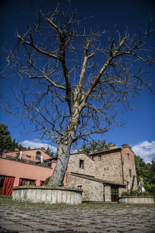 Agriturismo Casa Volaterra Volterra Extérieur photo